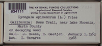 Image Associated With the Occurence